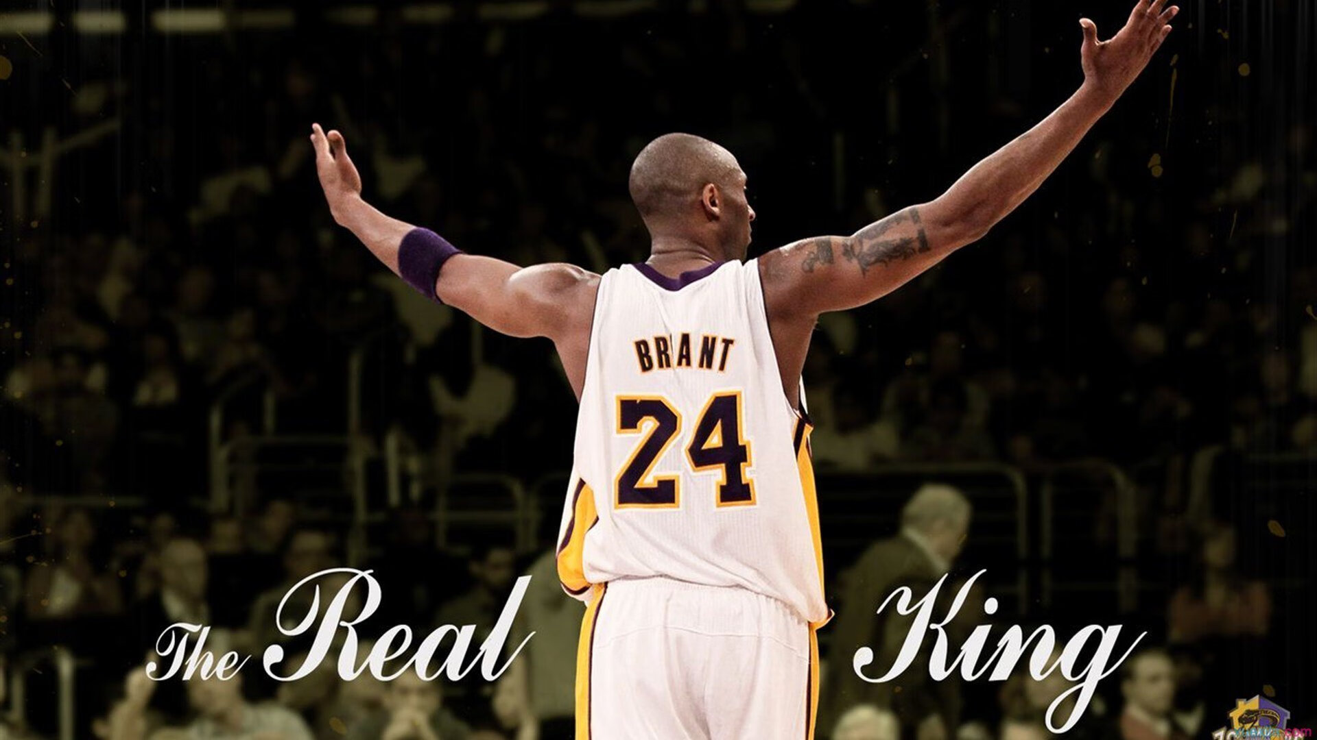 “羽毛球挑战：简阳文体中心赛场精英选手争夺世界之巅”